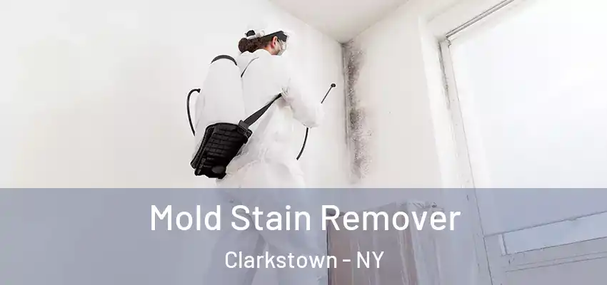 Mold Stain Remover Clarkstown - NY
