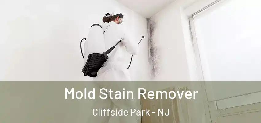  Mold Stain Remover Cliffside Park - NJ