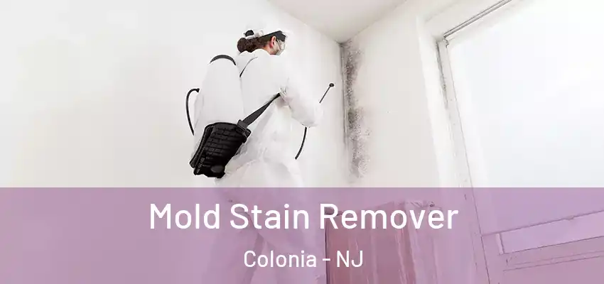 Mold Stain Remover Colonia - NJ