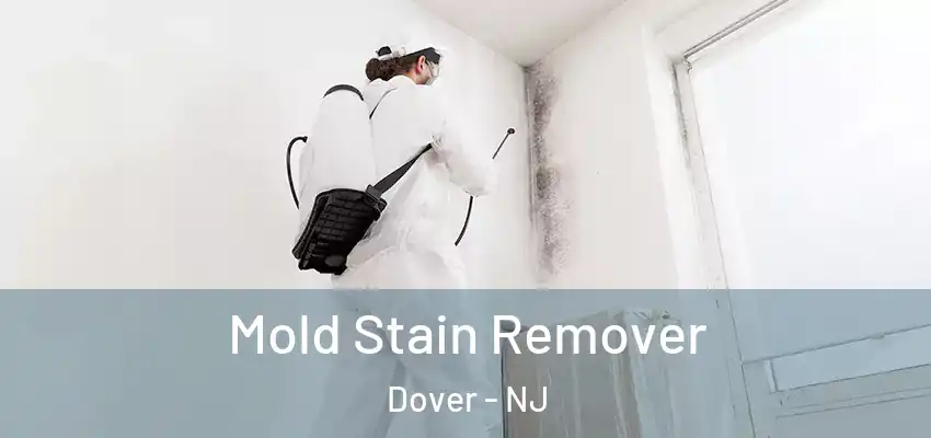  Mold Stain Remover Dover - NJ