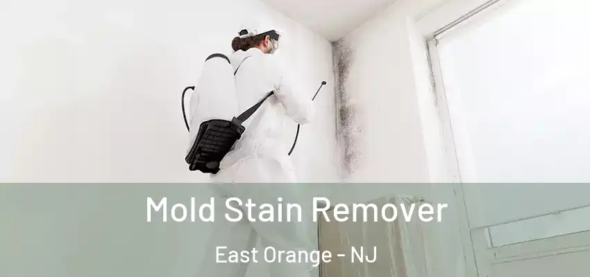  Mold Stain Remover East Orange - NJ
