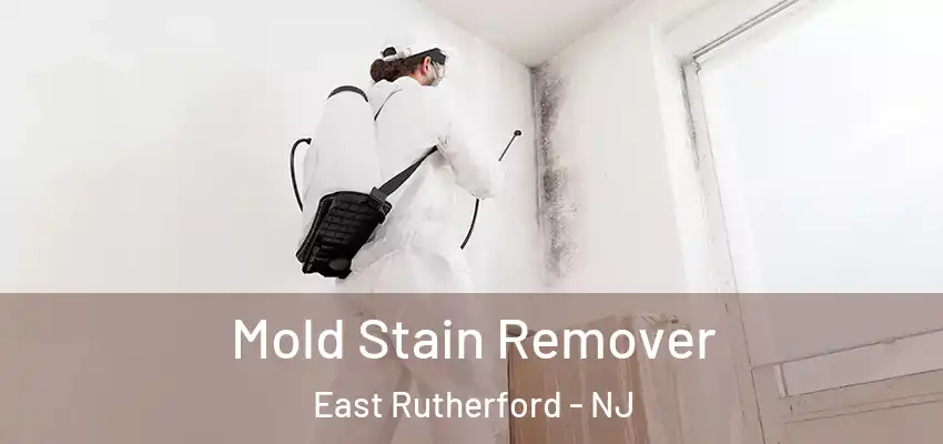  Mold Stain Remover East Rutherford - NJ