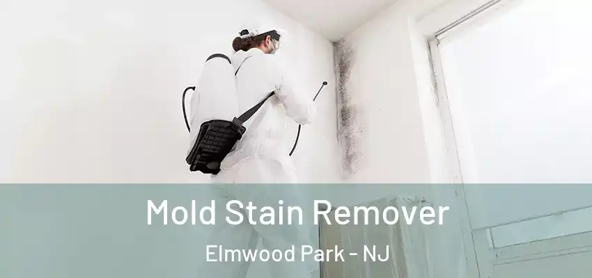  Mold Stain Remover Elmwood Park - NJ
