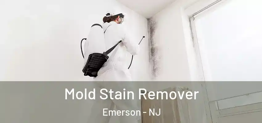 Mold Stain Remover Emerson - NJ