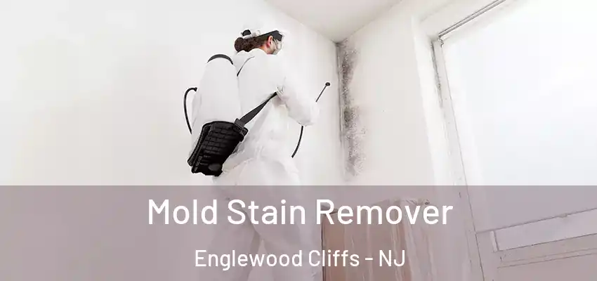 Mold Stain Remover Englewood Cliffs - NJ
