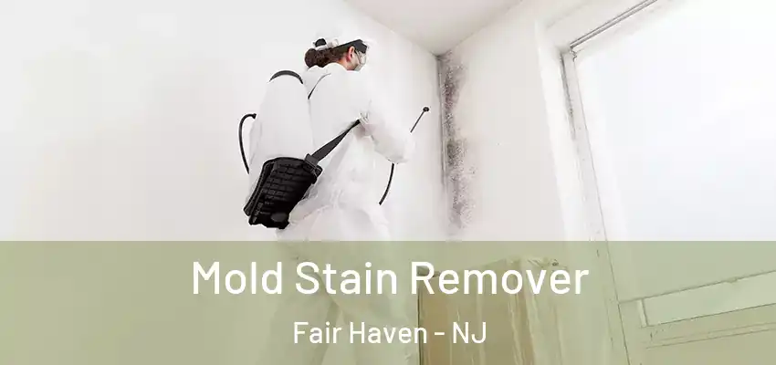 Mold Stain Remover Fair Haven - NJ