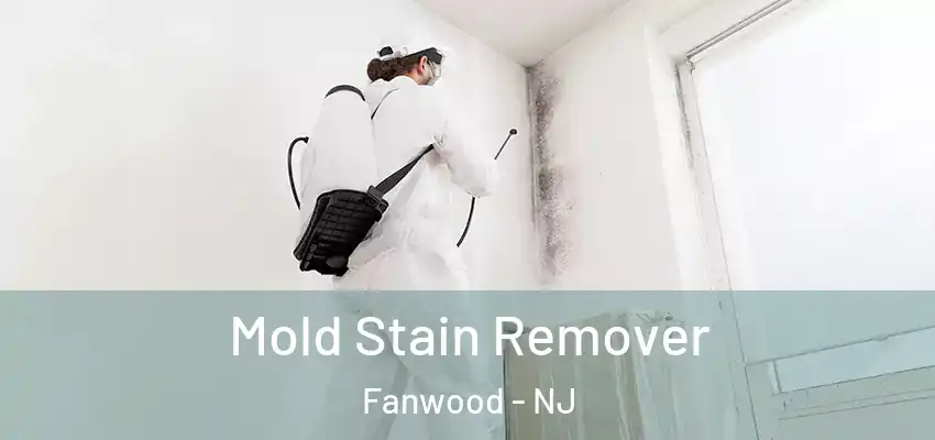 Mold Stain Remover Fanwood - NJ