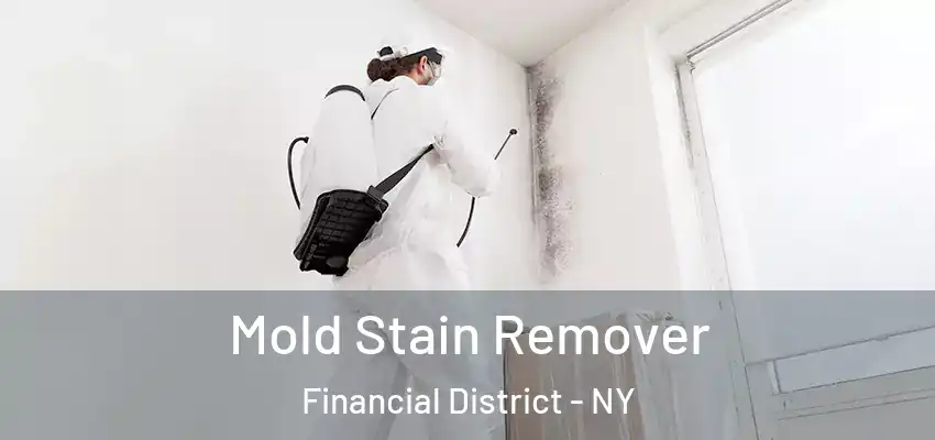  Mold Stain Remover Financial District - NY