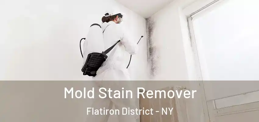 Mold Stain Remover Flatiron District - NY