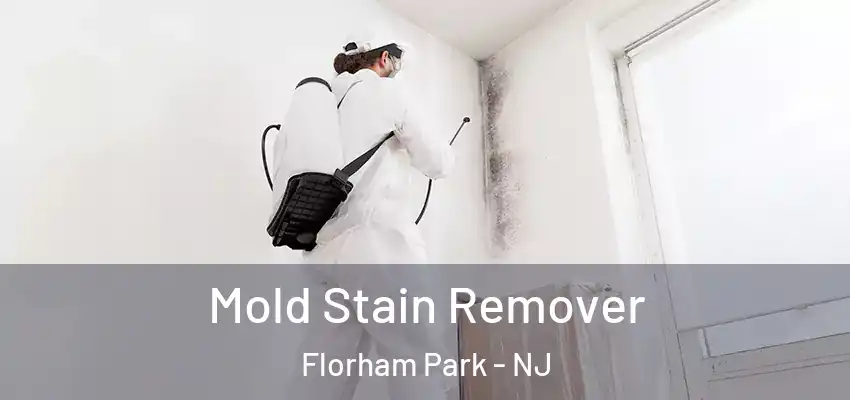 Mold Stain Remover Florham Park - NJ