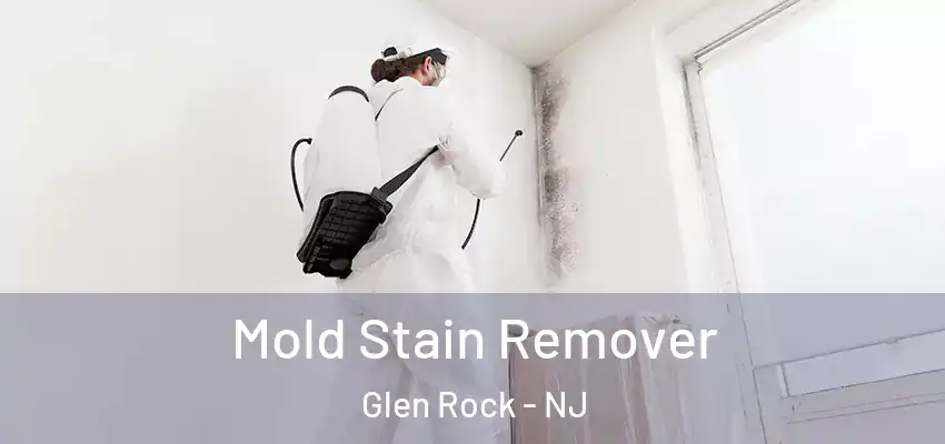 Mold Stain Remover Glen Rock - NJ