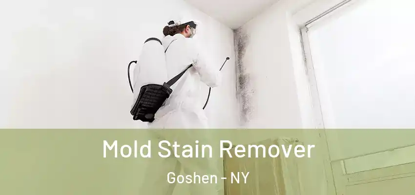  Mold Stain Remover Goshen - NY