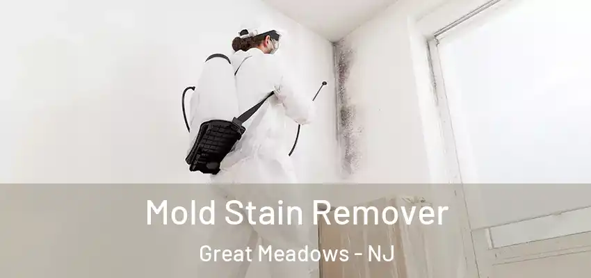 Mold Stain Remover Great Meadows - NJ