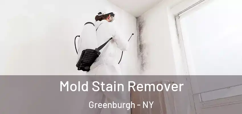  Mold Stain Remover Greenburgh - NY