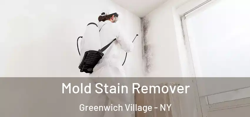 Mold Stain Remover Greenwich Village - NY