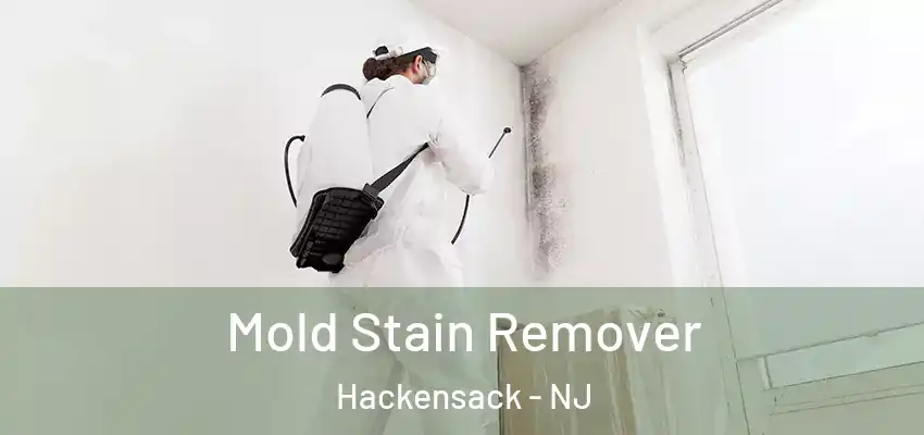 Mold Stain Remover Hackensack - NJ