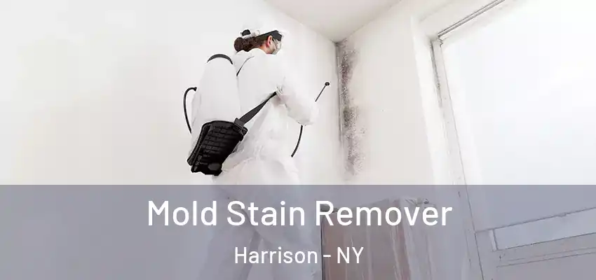 Mold Stain Remover Harrison - NY