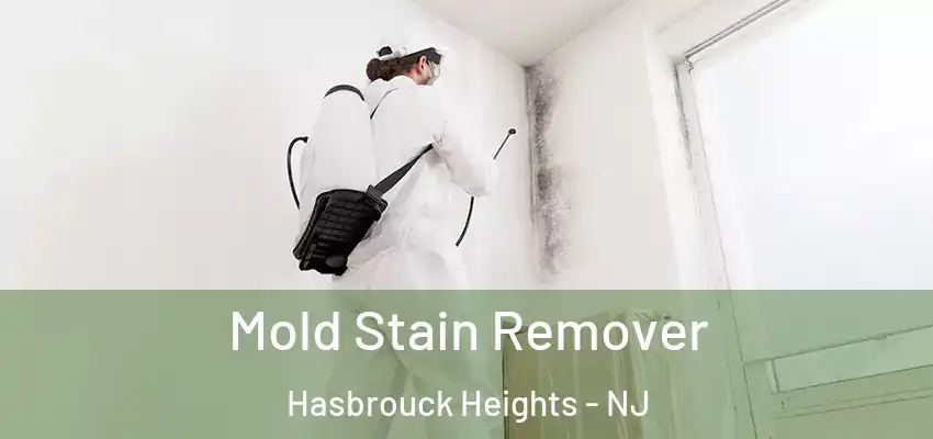  Mold Stain Remover Hasbrouck Heights - NJ