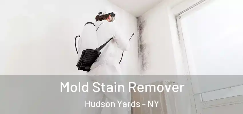Mold Stain Remover Hudson Yards - NY