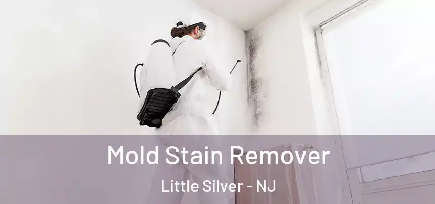 Mold Stain Remover Little Silver - NJ