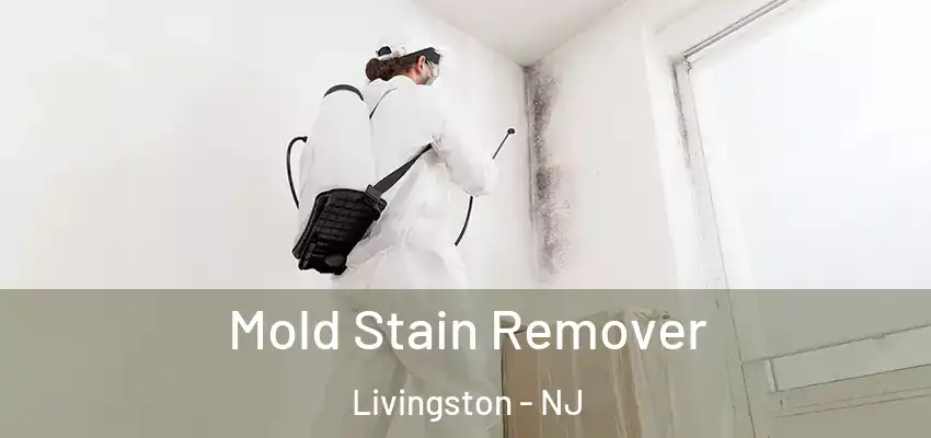 Mold Stain Remover Livingston - NJ