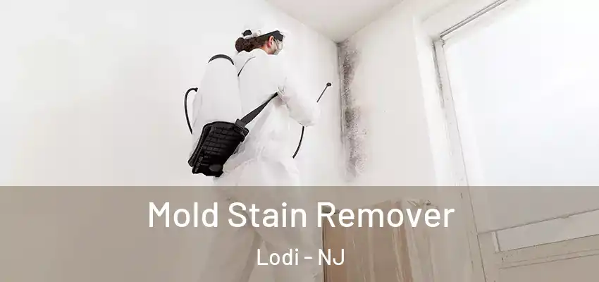 Mold Stain Remover Lodi - NJ
