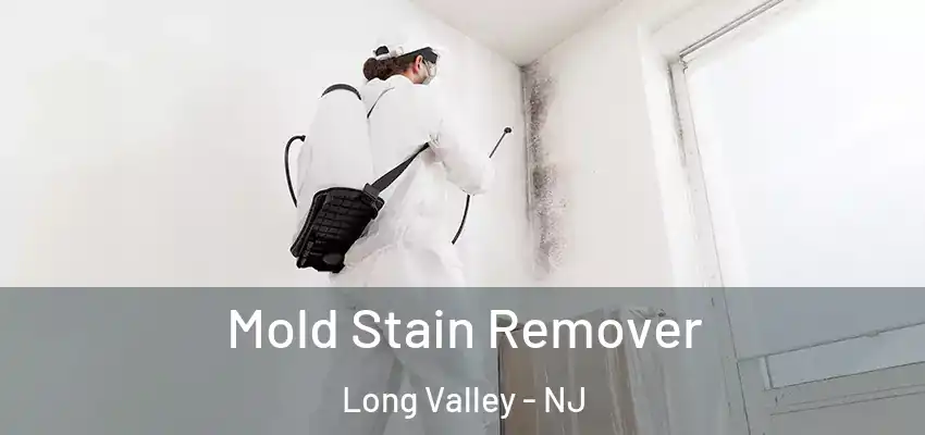 Mold Stain Remover Long Valley - NJ