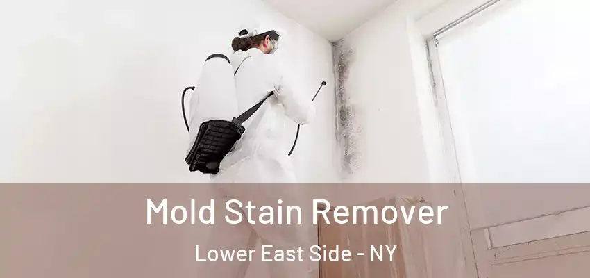  Mold Stain Remover Lower East Side - NY