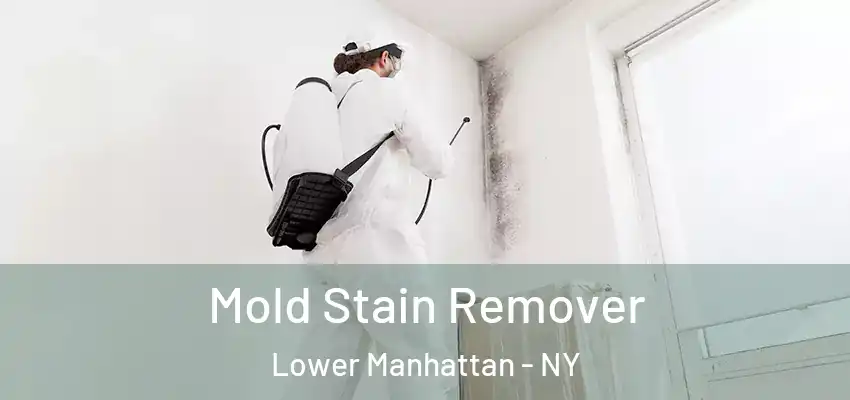 Mold Stain Remover Lower Manhattan - NY