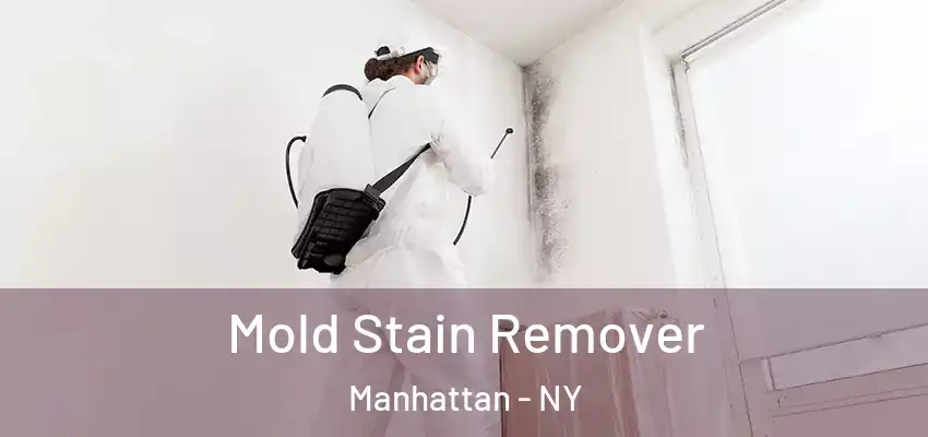  Mold Stain Remover Manhattan - NY