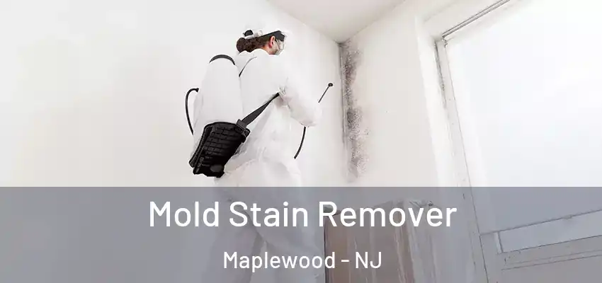 Mold Stain Remover Maplewood - NJ