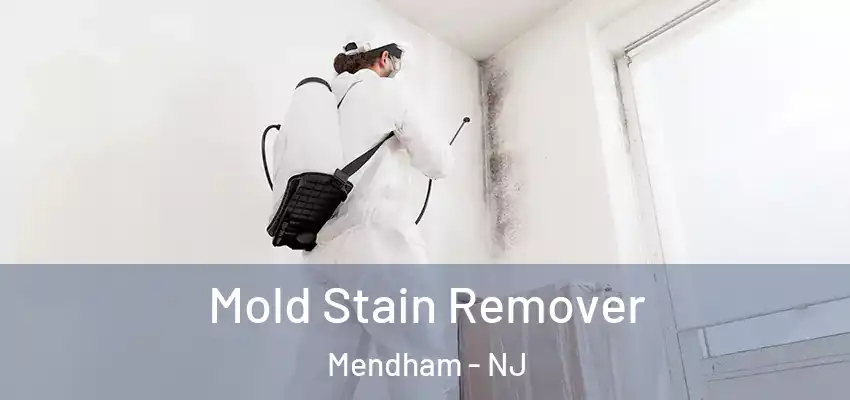  Mold Stain Remover Mendham - NJ