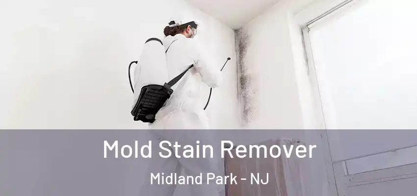 Mold Stain Remover Midland Park - NJ