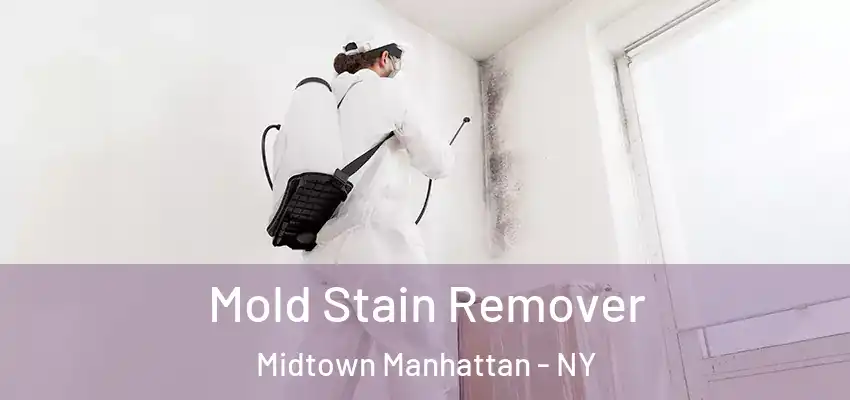 Mold Stain Remover Midtown Manhattan - NY