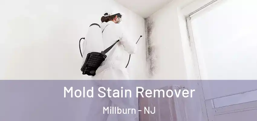 Mold Stain Remover Millburn - NJ