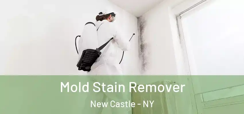  Mold Stain Remover New Castle - NY