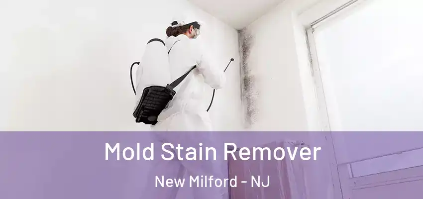  Mold Stain Remover New Milford - NJ