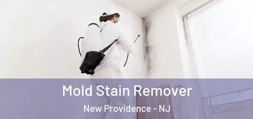 Mold Stain Remover New Providence - NJ