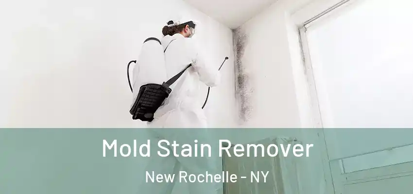 Mold Stain Remover New Rochelle - NY