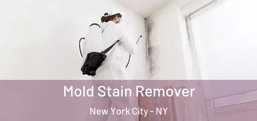Mold Stain Remover New York City - NY