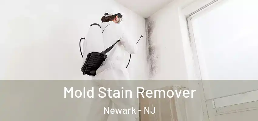 Mold Stain Remover Newark - NJ