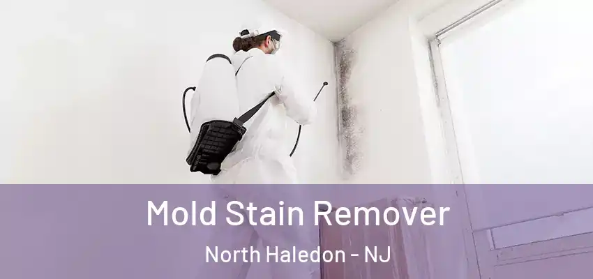 Mold Stain Remover North Haledon - NJ