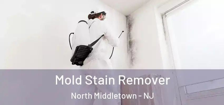 Mold Stain Remover North Middletown - NJ