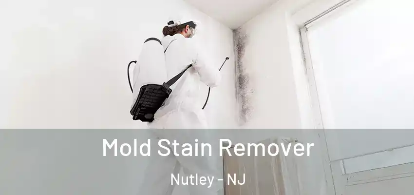 Mold Stain Remover Nutley - NJ