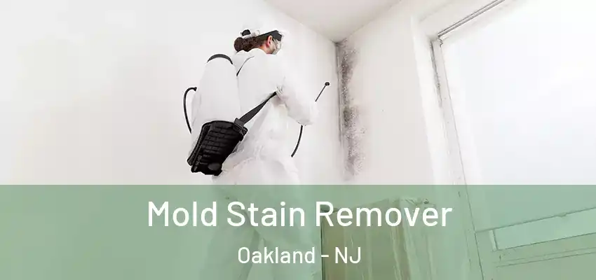  Mold Stain Remover Oakland - NJ