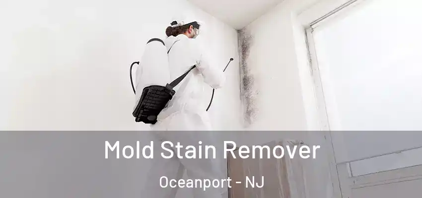 Mold Stain Remover Oceanport - NJ