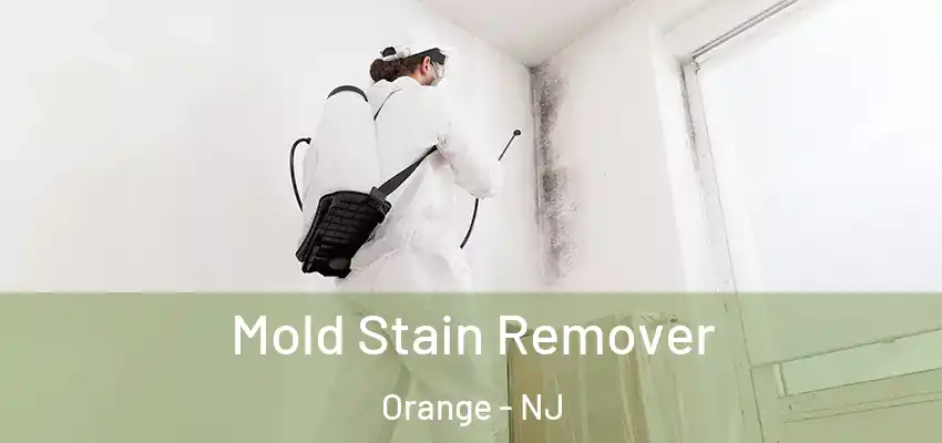 Mold Stain Remover Orange - NJ