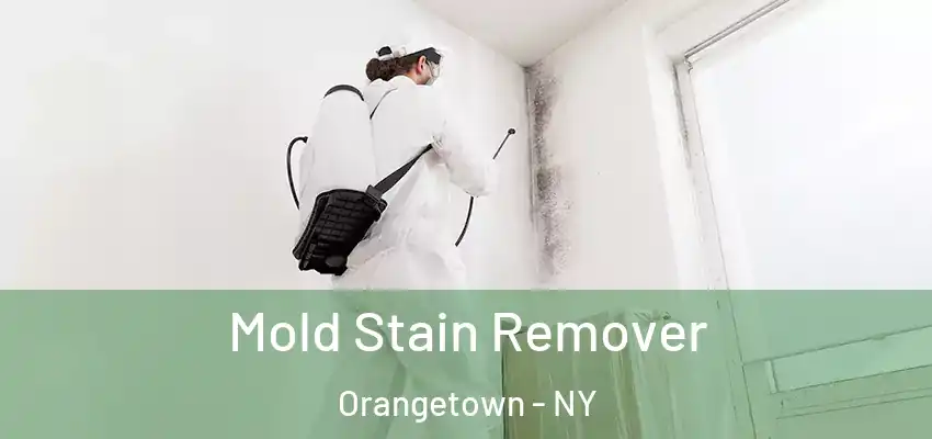 Mold Stain Remover Orangetown - NY