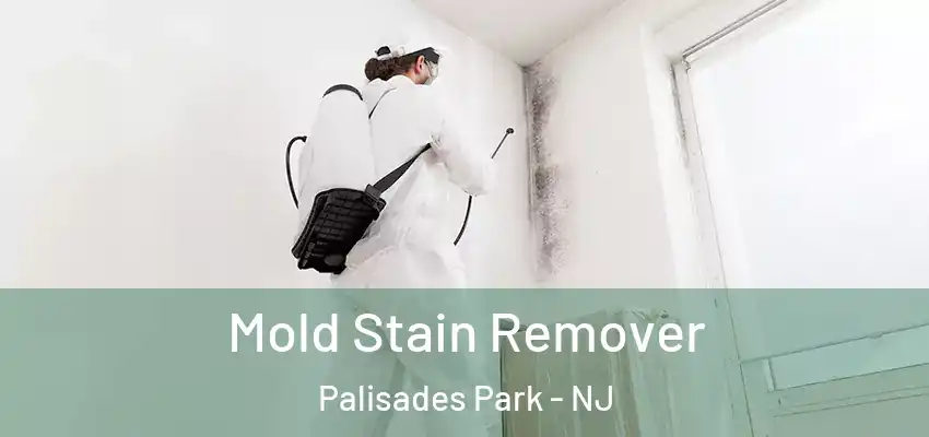 Mold Stain Remover Palisades Park - NJ