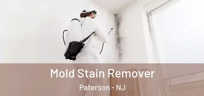 Mold Stain Remover Paterson - NJ